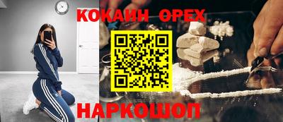ПСИЛОЦИБИНОВЫЕ ГРИБЫ Заводоуковск